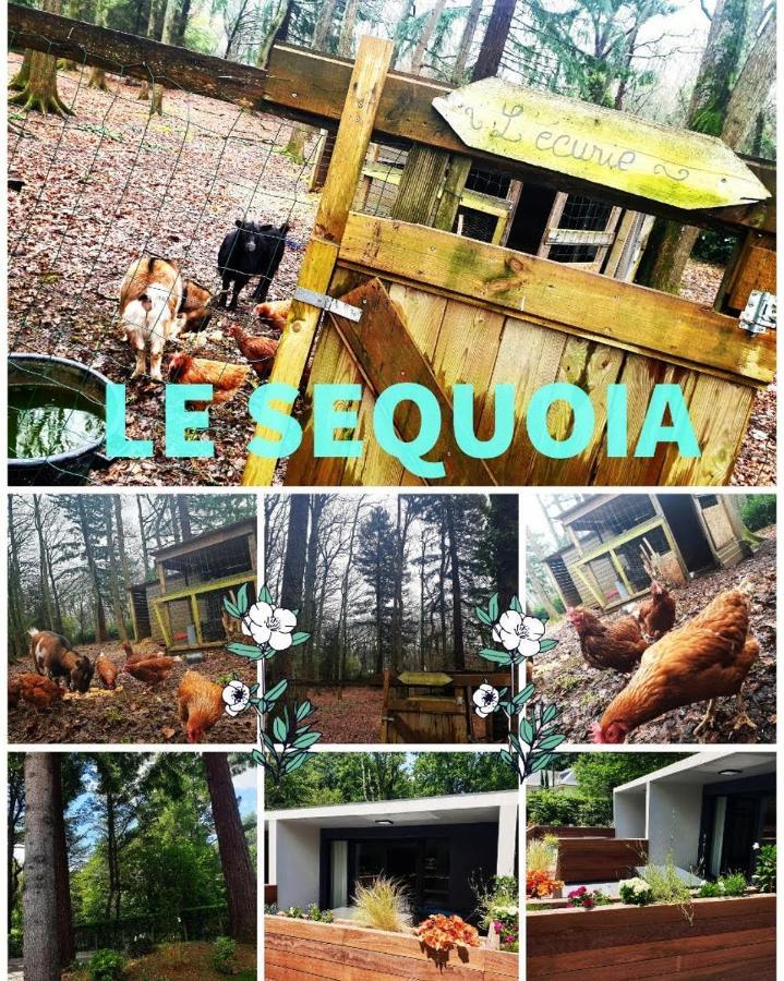 شقة Le Sequoia Saint-Sébastien-sur-Loire المظهر الخارجي الصورة
